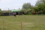 Thumbs/tn_Keltfest 2019 zondag 170.jpg